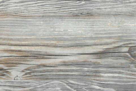 Стеновая панель Painted Pine 8124